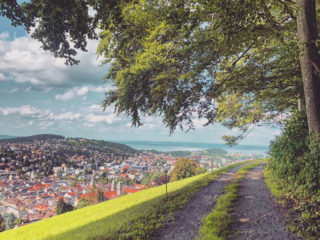 Berneggwald St.Gallen